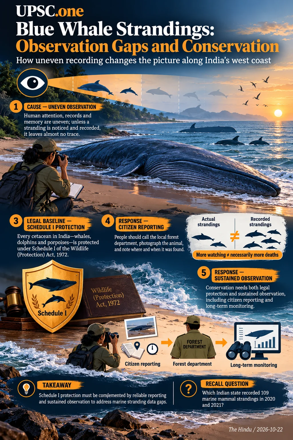 Blue Whale Strandings: Observation Gaps and Conservation. Schedule I protection must be complemented by reliable reporting and sustained observation to address marine stranding data gaps.
